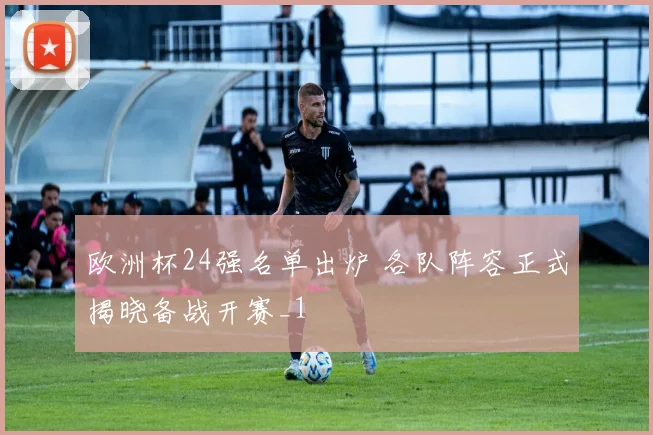 欧洲杯24强名单出炉 各队阵容正式揭晓备战开赛_1