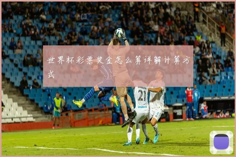 世界杯彩票奖金怎么算详解计算方式